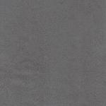 Pegas grey