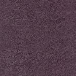 Pegas violet