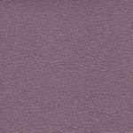lilac Maestro lilac