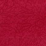 red Savanna red
