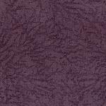 violet Savanna violet