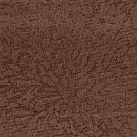 brown Savanna brown