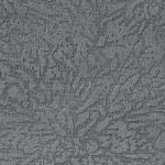 silver Savanna silver