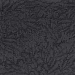 grey Savanna grey