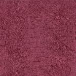 cherry Reptile cherry