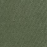 olive Fenix olive