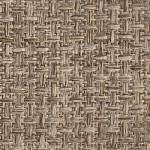 cotton Viva cotton