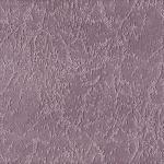 Pride lilac Pride lilac