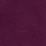 violet Aspendos violet