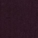 violet Joker violet