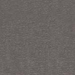grey Joker grey