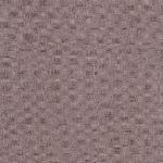 lavender Montana lavender
