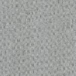 silver Montana silver