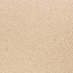 Beige Hi Dollaro Beige
