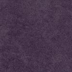 violet Vittorio violet