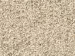 06 Nobilia 06